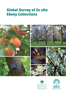 Global Survey of Ex Situ Ebony Collections Global Survey of Ex Situ Ebony Collections