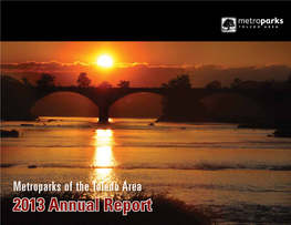 2013 Annual Report