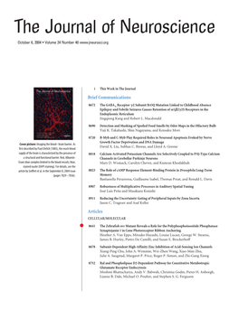 The Journal of Neuroscience October 6, 2004 • Volume 24 Number 40