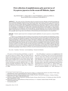 First Collection of Amphidromous Goby Post-Larvae of Sicyopterus Japonicus in the Ocean Off Shikoku, Japan