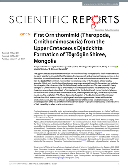 From the Upper Cretaceous Djadokhta Formation of Tögrögiin Shiree