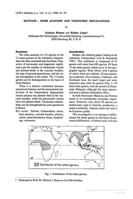 Stem Anatomy and Taxonomic Implications