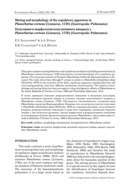 Mating and Morphology of the Copulatory Apparatus In