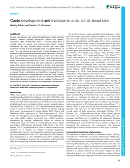 Caste Development and Evolution in Ants: It's All About Size