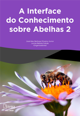 A Interface Do Conhecimento Sobre Abelhas 2.Pdf