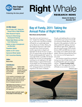 Bay of Fundy, 2011: Taking the Annual Pulse of Right Whales
