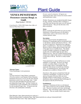 VENUS PENSTEMON Mentioned for Their Value in Mixes for Erosion Control and Beautification Values