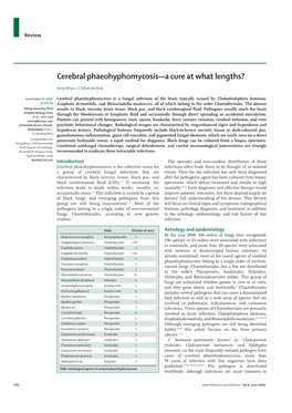 Cerebral Phaeohyphomycosisâ€”A Cure at What Lengths?