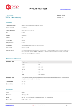 Anti-ROCK1 Antibody (ARG40490)