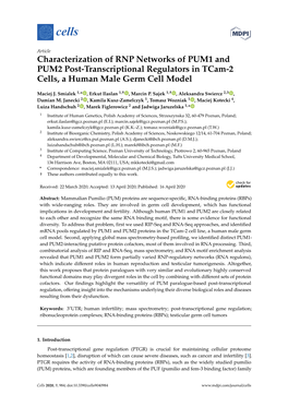 Characterization of RNP Networks of PUM1 and PUM2 Post-Transcriptional Regulators in Tcam-2 Cells, a Human Male Germ Cell Model