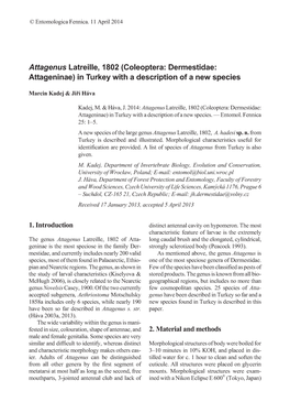 Coleoptera: Dermestidae: Attageninae) in Turkey with a Description of a New Species