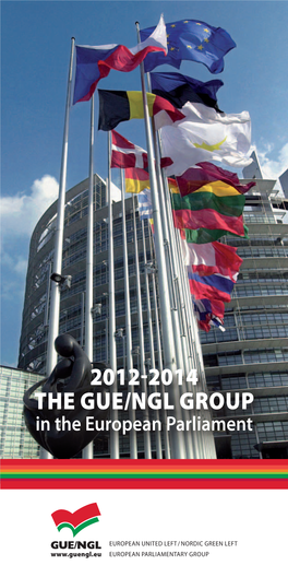 2012-2014 the Gue/NGL Group