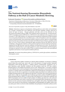 The Nutrient-Sensing Hexosamine Biosynthetic Pathway As the Hub of Cancer Metabolic Rewiring