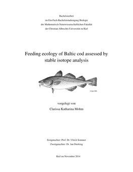 Feeding Ecology of Baltic Cod Assessed by Stable Isotope Analysis