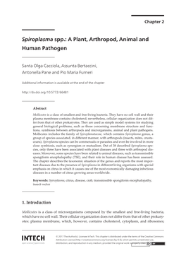 Spiroplasma Spp.: a Plant, Arthropod, Animal and Human Pathogen