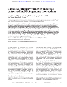 Rapid Evolutionary Turnover Underlies Conserved Lncrna–Genome Interactions