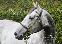 Stallions 2021