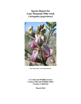Species Report for Lane Mountain Milk-Vetch (Astragalus Jaegerianus)