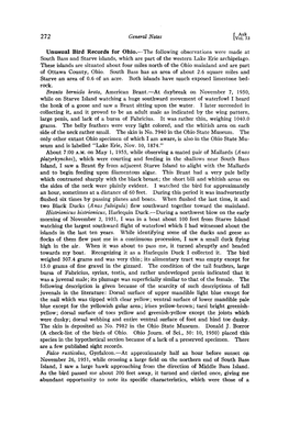 Unusual Bird Records for Ohio.--The Following Observationswere Made at South Bassand Starve Islands,Which Are Part of the Western Lake Erie Archipelago