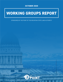 Working Groups Report