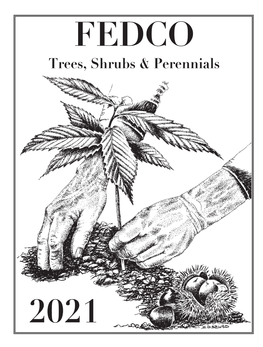 Trees, Shrubs & Perennials