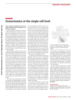 Connectomics at the Single-Cell Level