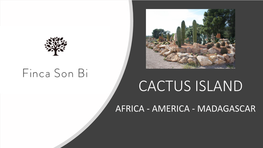 CACTUS ISLAND AFRICA - AMERICA - MADAGASCAR AFRICA’S CACTUS ISLAND the Genus Aeonium Spp