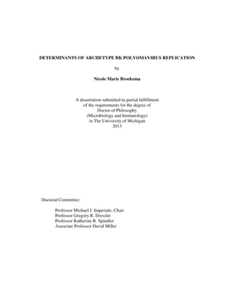 Determinants of Archetype Bk Polyomavirus Replication