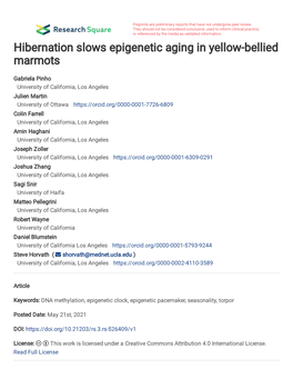 Hibernation Slows Epigenetic Aging in Yellow-Bellied Marmots