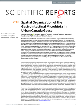 Spatial Organization of the Gastrointestinal Microbiota in Urban Canada Geese Received: 20 September 2017 Sergei V