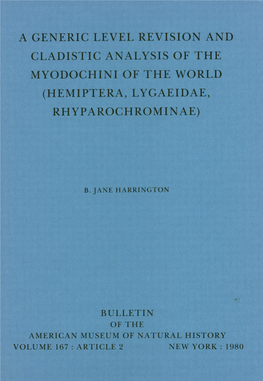 Rhyparochrominae)