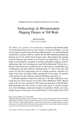 Archaeology in Mesopotamia: Digging Deeper at Tell Brak