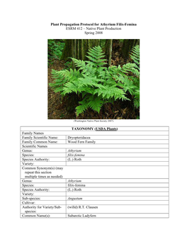 Plant Propagation Protocol for Athyrium Filix-Femina ESRM 412 – Native Plant Production Spring 2008 TAXONOMY (USDA Plants)