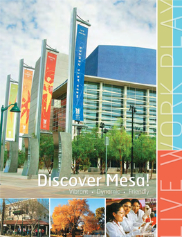 Discover Mesa!