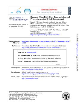 Processing During T Cell Development Dynamic Microrna