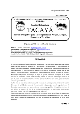 Tacayá 15, Diciembre 2006