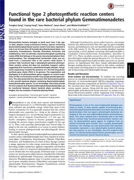 Functional Type 2 Photosynthetic Reaction Centers Found in the Rare Bacterial Phylum Gemmatimonadetes