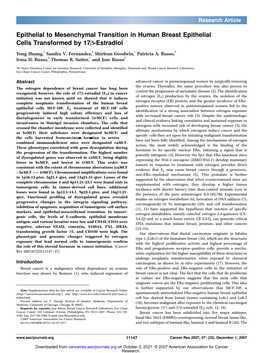 Epithelial to Mesenchymal Transition in Human Breast Epithelial Cells Transformed by 17B-Estradiol