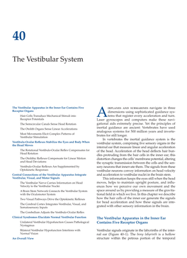 The Vestibular System