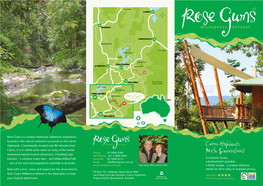 Rose Gums Is a Unique Treehouse Wilderness Experience Located in the Natural Rainforest Surrounds of the Cairns Highlands