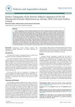 Surface Topography of the Anterior Adhesive Apparatus of the Gill Monogenean Parasite Diplectanum Sp