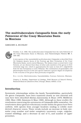 The Multituberculate Catopsalis from the Early Paleocene of the Crazy Mountains Basin in Montana