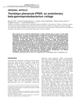 Tremblaya Phenacola PPER: an Evolutionary Beta-Gammaproteobacterium Collage