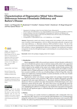 Characterization of Degenerative Mitral Valve Disease: Differences Between Fibroelastic Deficiency and Barlow's Disease