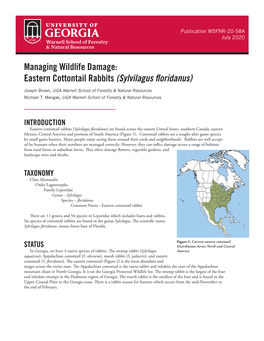 Managing Wildlife Damage: Eastern Cottontail Rabbits (Sylvilagus Floridanus)
