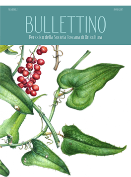 Bullettino 2 2017