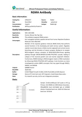 RGMA Antibody