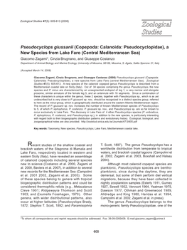 Pseudocyclops Giussanii (Copepoda: Calanoida: Pseudocyclopidae), A