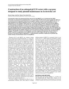 Construction of an Enlarged Puc19 Vector with a Rop Gene Designed to Study Plasmid Maintenance in Escherichia Coli