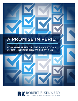A Promise in Peril Report